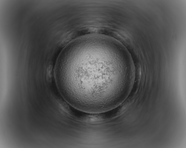 X0000087380275200704201251