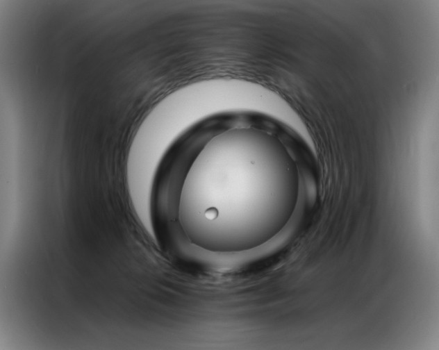 X0000087380276200704201251