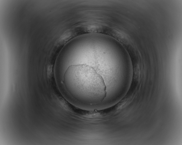 X0000087380278200704201251