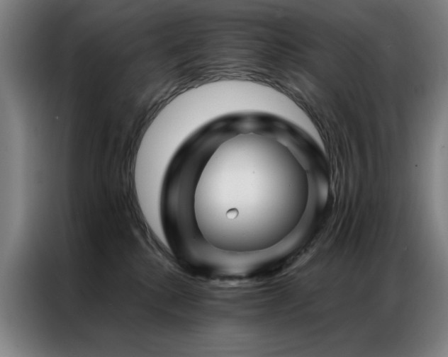 X0000087380280200704201251