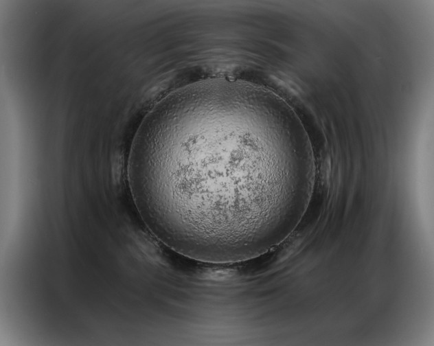 X0000087380283200704201251