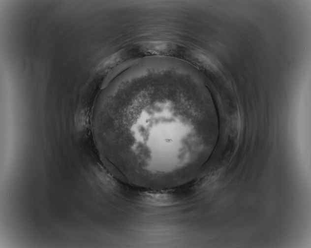 X0000087380284200704201251