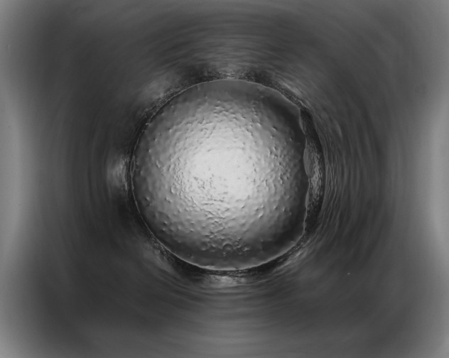 X0000087380286200704201251