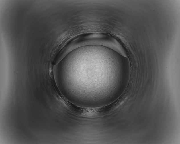 X0000087380288200704201251