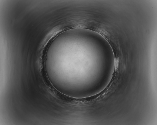 X0000087380291200704201250
