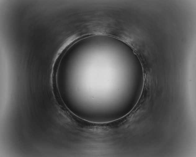 X0000087380292200704201250