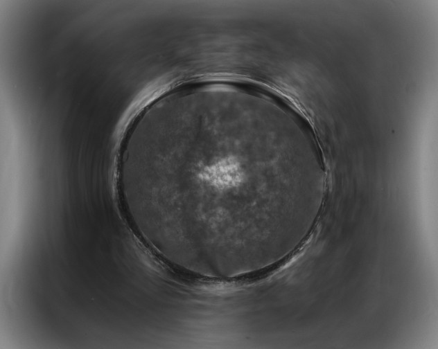 X0000087380293200704201250