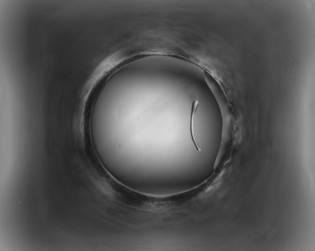 X0000087380296200704201250