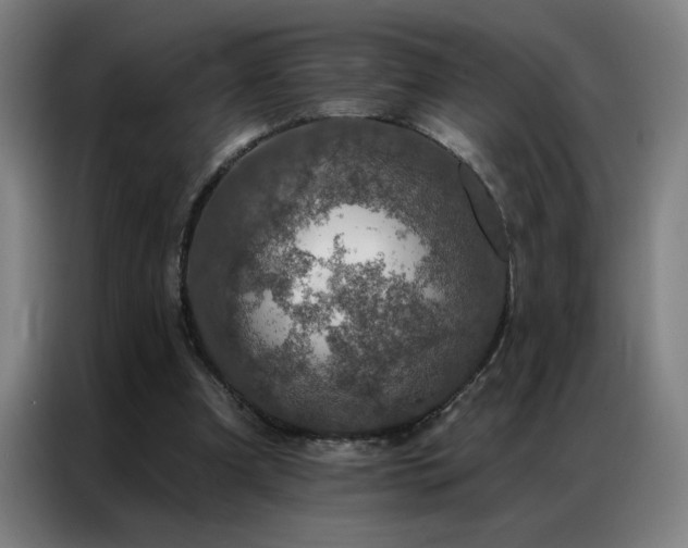 X0000087380297200704201250