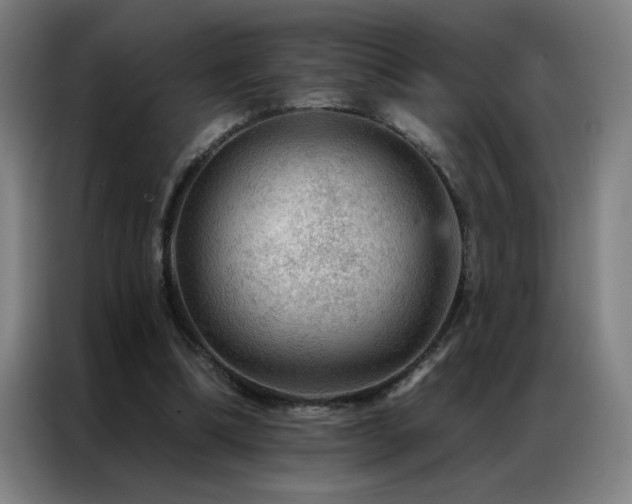 X0000087380298200704201250