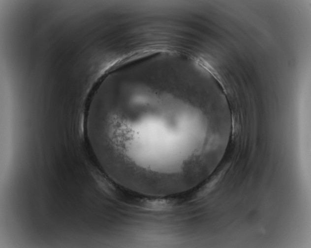 X0000087380301200704201250