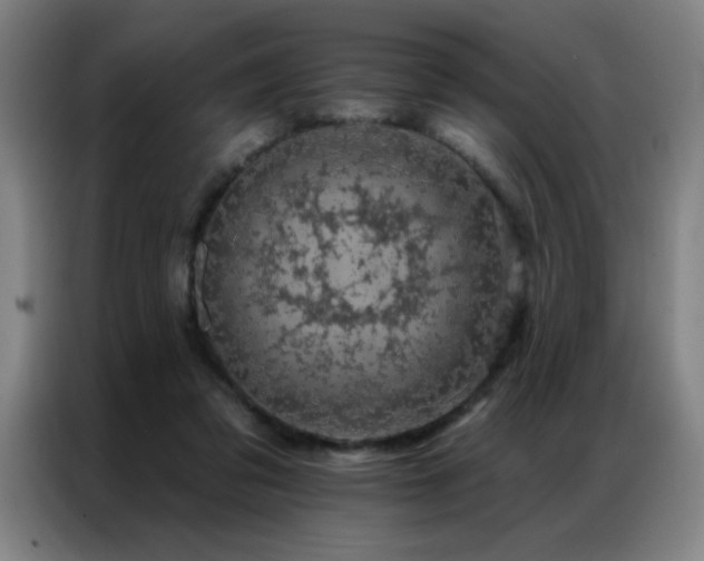 X0000087380309200704201250