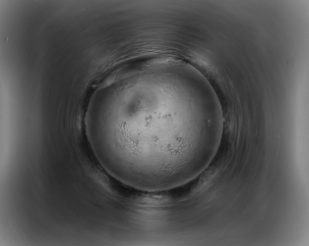 X0000087380315200704201250