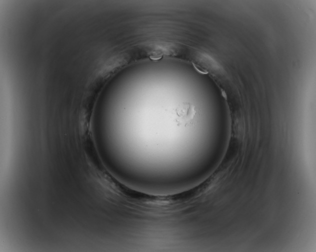 X0000087380318200704201250