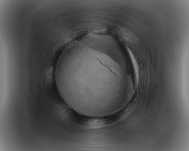 X0000087380319200704201250