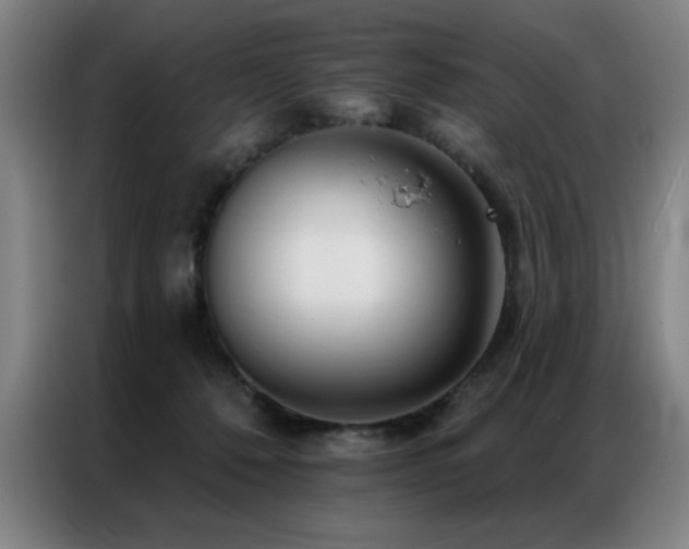 X0000087380320200704201250