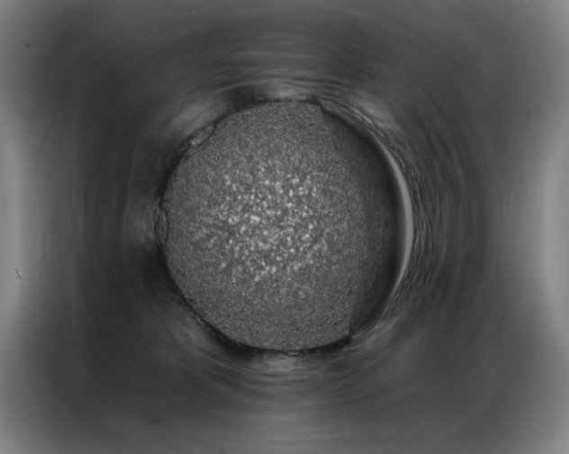 X0000087380325200704201250