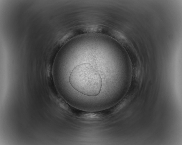 X0000087380326200704201250