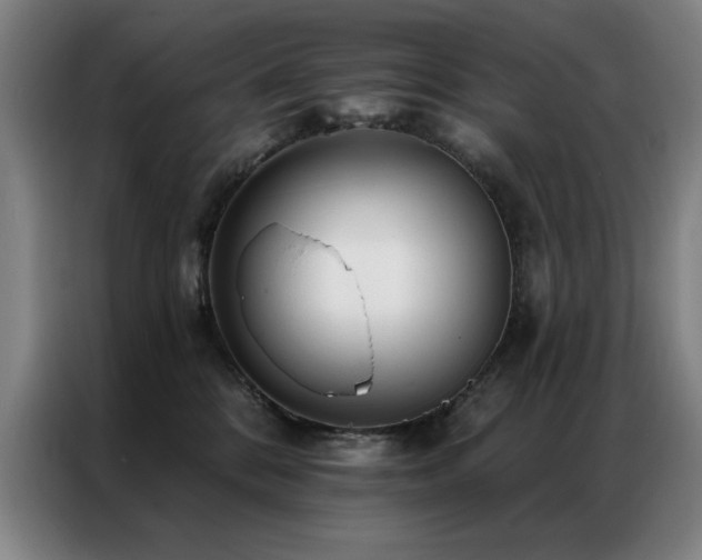 X0000087380328200704201250