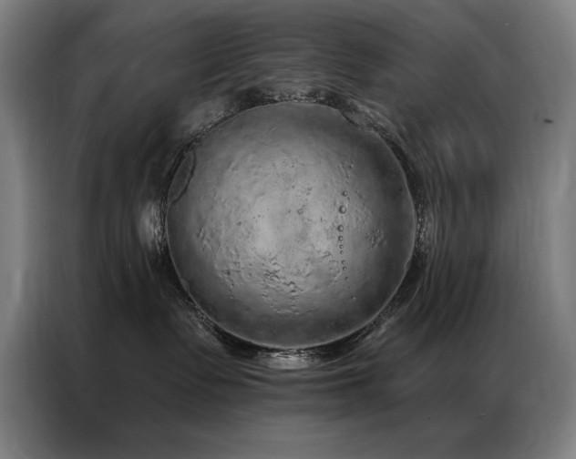 X0000087380335200704201250