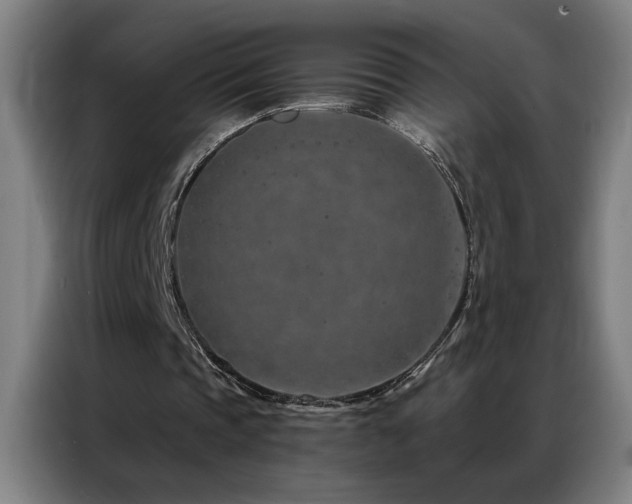 X0000087380337200704201249