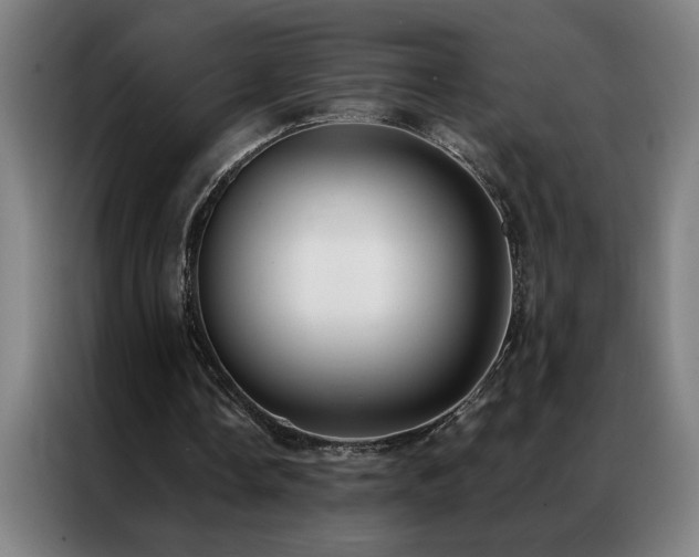 X0000087380338200704201249