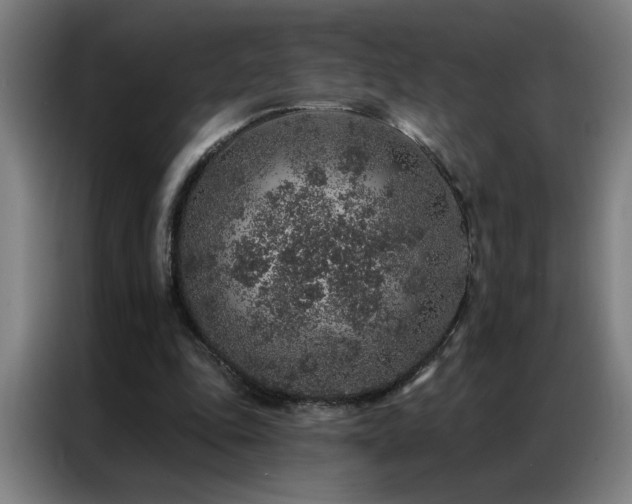 X0000087380343200704201249