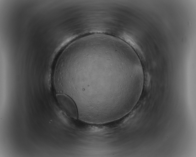 X0000087380346200704201249