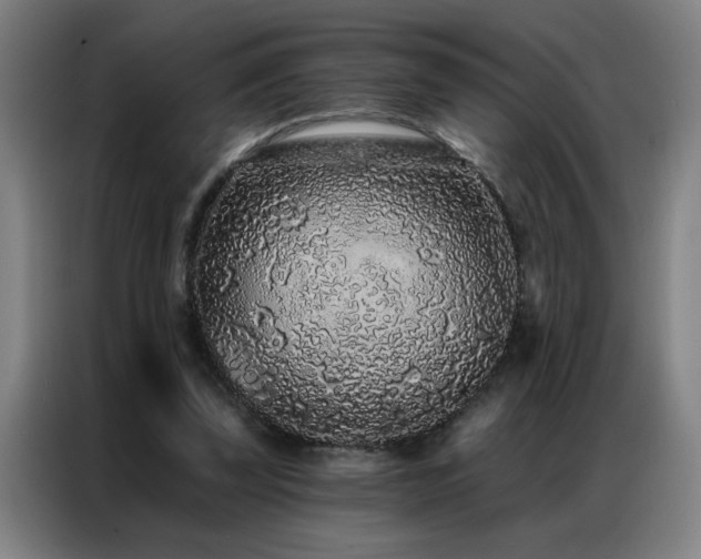 X0000087380347200704201249