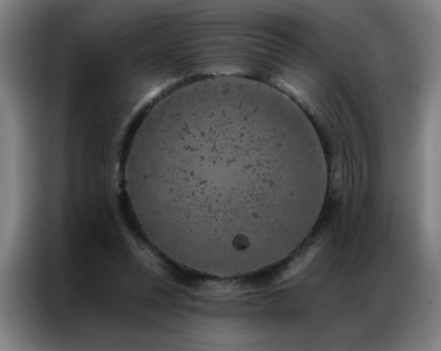 X0000087380351200704201249