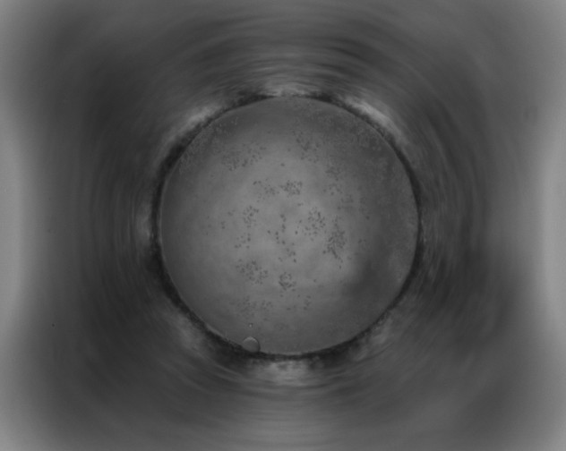 X0000087380353200704201249