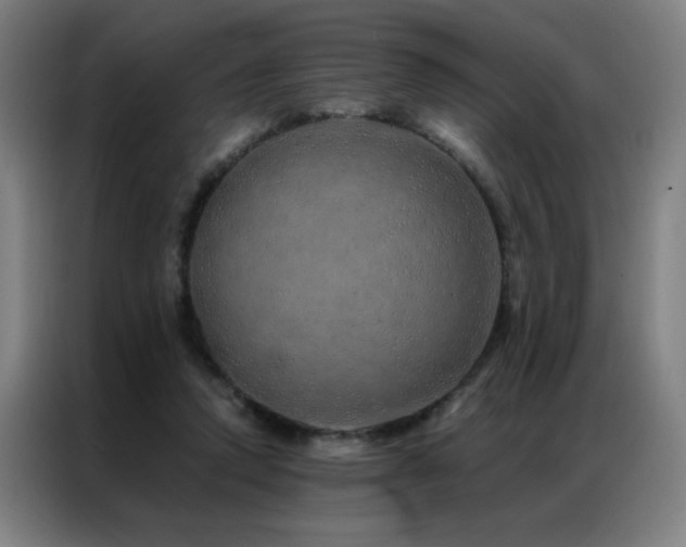 X0000087380354200704201249