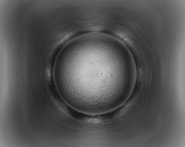 X0000087380358200704201249
