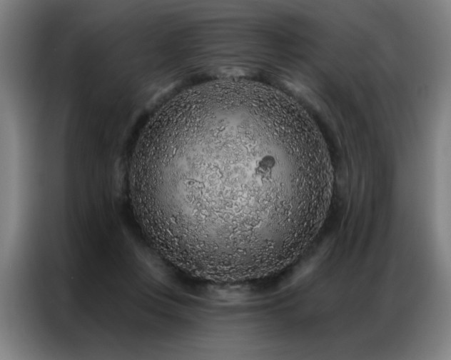 X0000087380359200704201249