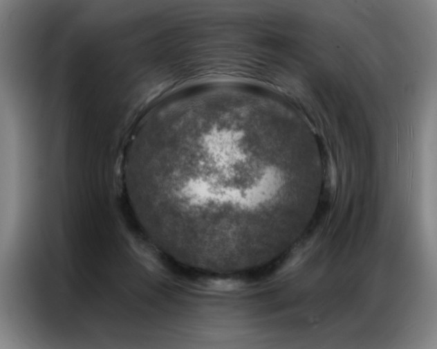 X0000087380360200704201249