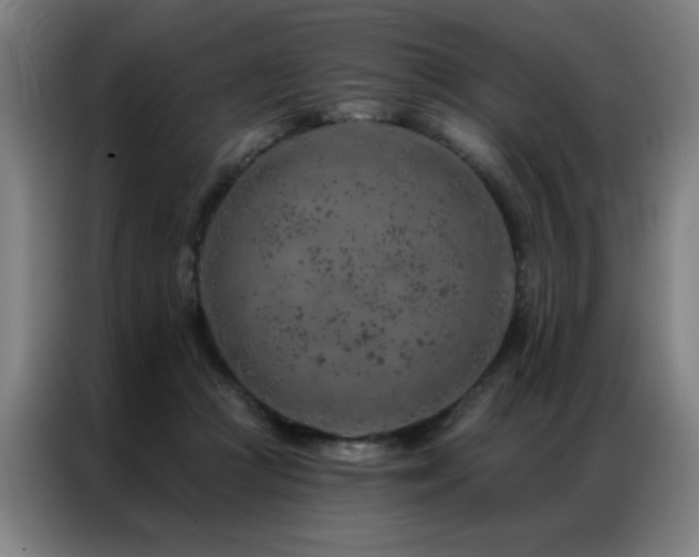 X0000087380361200704201249