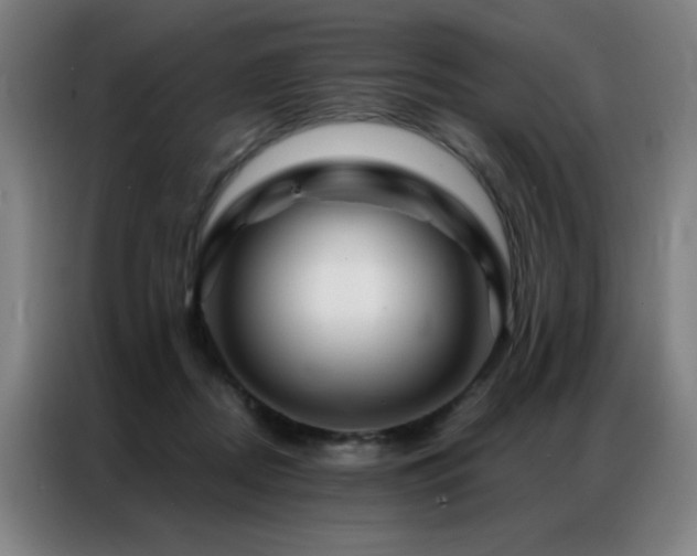 X0000087380362200704201249