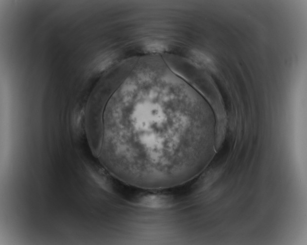 X0000087380364200704201249