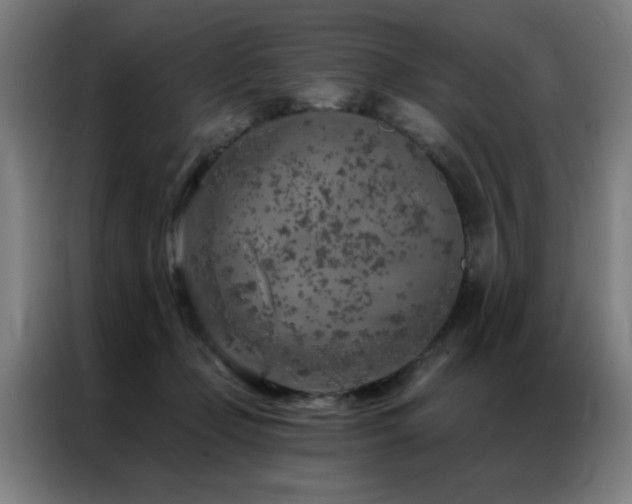 X0000087380365200704201249