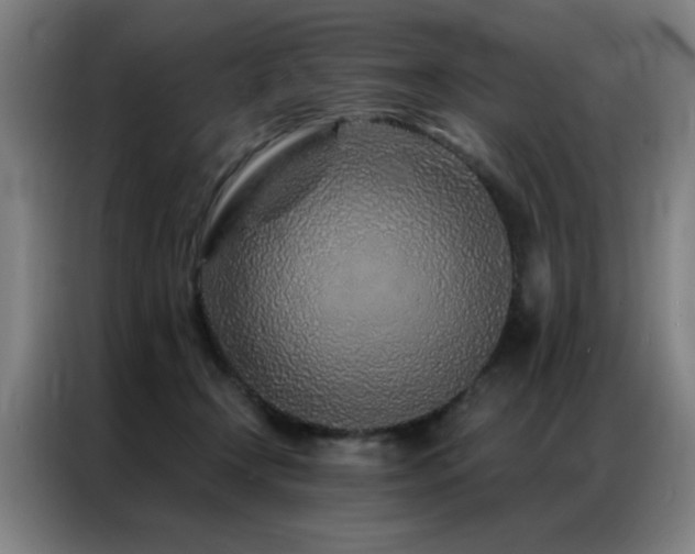 X0000087380366200704201249