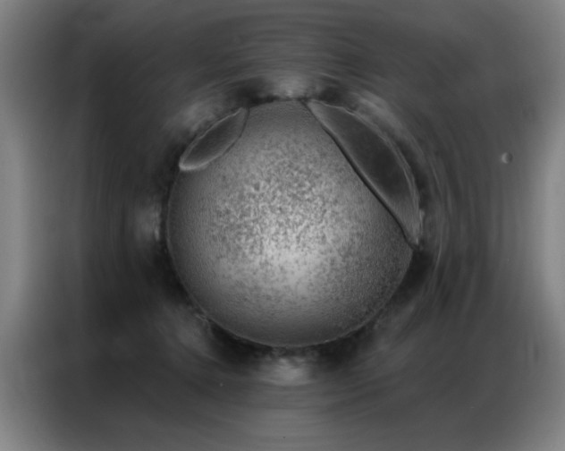 X0000087380368200704201249