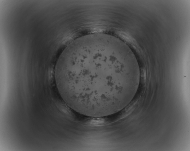 X0000087380369200704201249