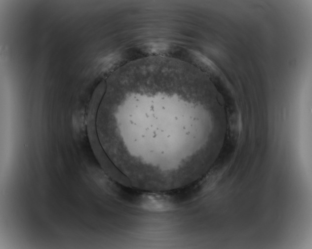 X0000087380372200704201249