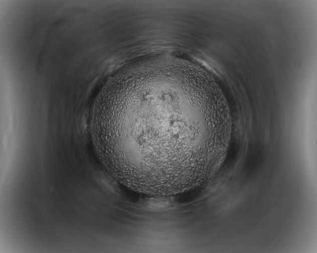 X0000087380373200704201249