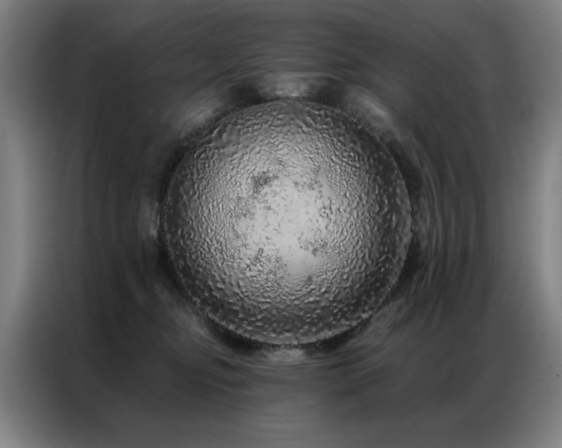 X0000087380374200704201249