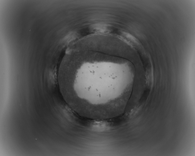 X0000087380376200704201250
