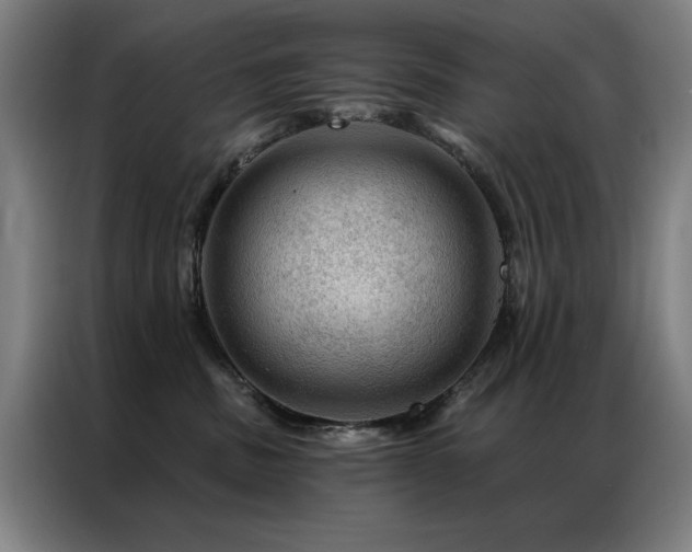 X0000087380379200704201250