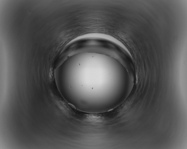 X0000087380380200704201250