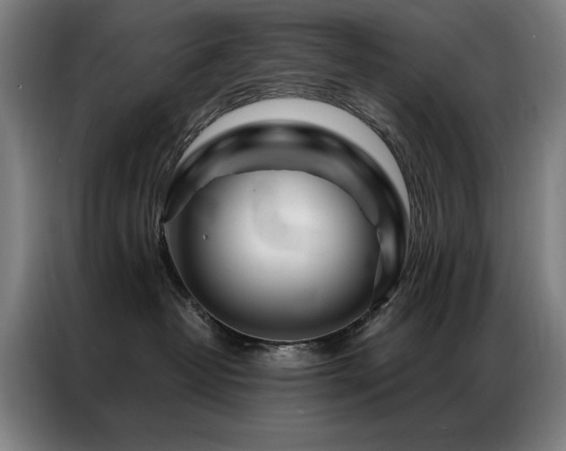 X0000087380382200704201250