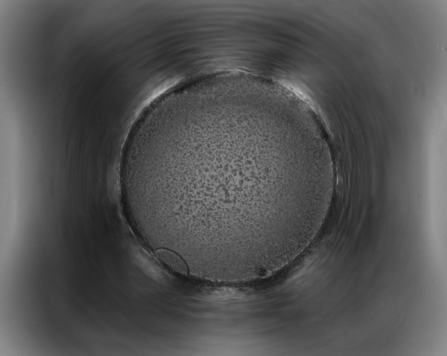 X0000087380390200704201249